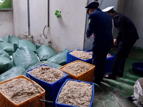 Tạm giữ gần 10 tấn thực phẩm đông lạnh không rõ nguồn gốc, xuất xứ