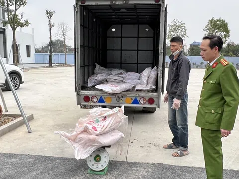 QLTT Hà Nội: Tạm giữ 700 kg nầm lợn không rõ nguồn gốc xuất xứ