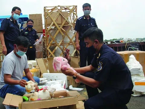 Tổng cục Hải quan: Buôn lậu, gian lận thương mại, vận chuyển hàng hóa trái phép qua biên giới vẫn diễn biến phức tạp