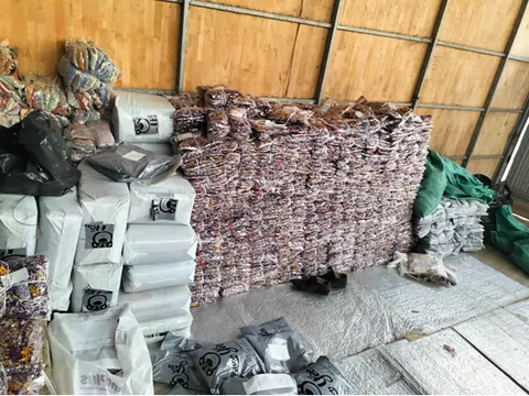 Long An: Kiểm tra phát hiện 01 địa điểm kinh doanh hàng hóa không rõ nguồn gốc xuất xứ trên địa bàn quản lý