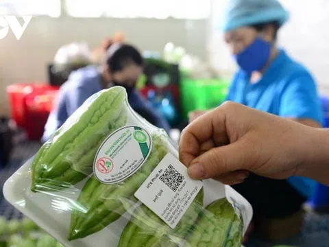 Truy xuất nguồn gốc nông sản: Tính minh bạch của nền nông nghiệp