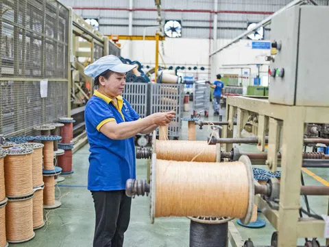 "Nghề độc" trên sàn: Bán dây thừng cho ngư dân, mỗi ngày tiền tỷ về tay