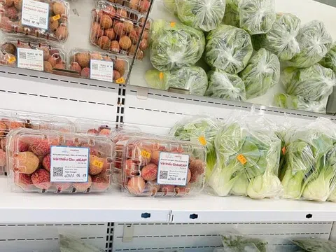Xuất hơn 3 tấn vải thiều sang Đức nhờ thương mại điện tử