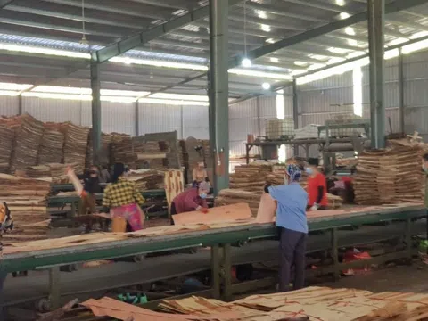 Doanh nghiệp ngành gỗ: Cần nhiều thông tin cho chuyển đổi số