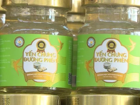 Phú Thọ: Hơn 23 ngàn sản phẩm yến chưng của Công ty TNHH Yến sào Tuấn Dương &TKT là hàng giả