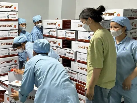 Triệt phá đường dây sản xuất sữa giả HIUP 27: Chiêu trò tẩu tán chứng cứ và những góc khuất bị phanh phui