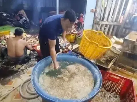 Phát hiện 3 cơ sở ở TP Hồ Chí Minh ngâm hoa chuối với hàn the, chất tẩy trắng