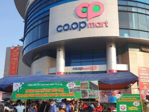 SaiGon Co.op và Vua Gạo bị cấm thầu vì cung cấp hàng kém chất lượng!?