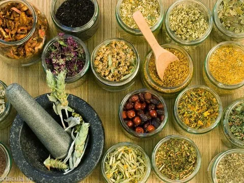 Quản lý nguyên liệu thuốc: Cục Quản lý Dược siết chặt kinh doanh, đảm bảo cung ứng và an toàn cho người dân