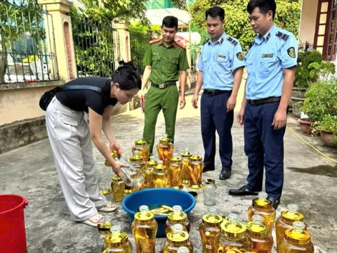 Thanh Hóa tiêu hủy 142 lít rượu sâm không rõ nguồn gốc, xử phạt hộ kinh doanh 62,5 triệu đồng