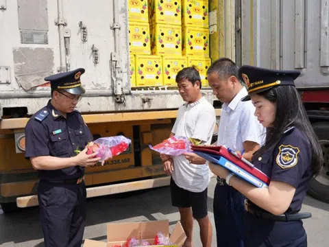 Cục Hải quan: Bắt giữ nhiều lô hàng giả mạo xuất xứ Việt Nam đi Mỹ