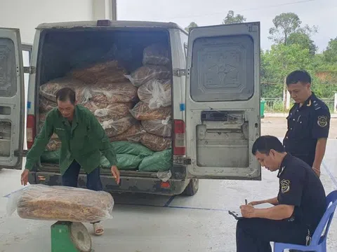 Cao Bằng: Kịp thời ngăn chặn hơn 2,2 tấn lá thuốc lá nhập lậu