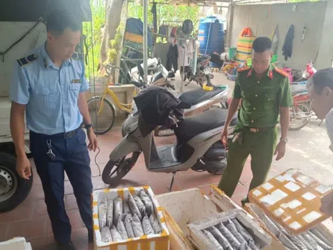Thanh Hóa: Tiêu hủy hơn 1 tấn thực phẩm không rõ nguồn gốc