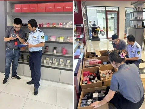 Cảnh báo mỹ phẩm giả, dầu gội chứa chất diệt côn trùng