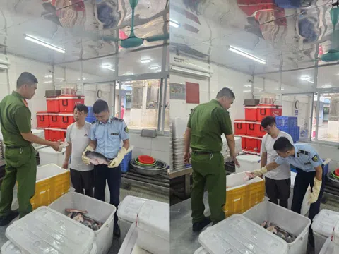 Đội Quản lý thị trường số 2 Hà Nội: Tăng cường kiểm tra, xử lý thực phẩm không rõ nguồn gốc