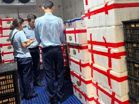 Gia Lai tạm giữ trên 2.500 kg quả tươi không rõ nguồn gốc, xuất xứ