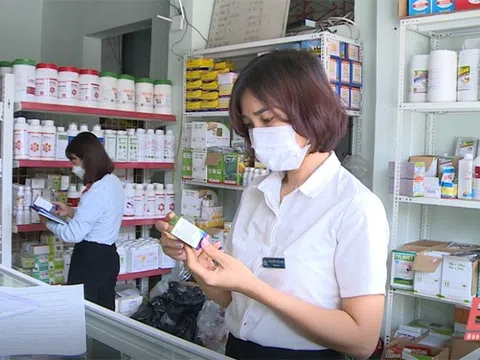 Hà Nội: Siết chặt quản lý, ngăn chặn buôn lậu và hàng giả trong lĩnh vực nông nghiệp