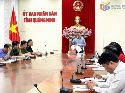 Quảng Ninh chủ động từ sớm, quản lý từ gốc, không để phát sinh điểm nóng về buôn lậu