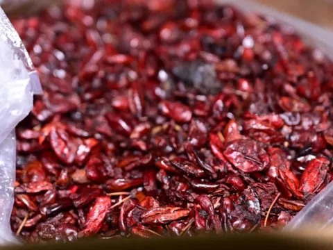 'Bóc trần' đường dây thuốc đông y giả: Bắt giữ 2 đối tượng