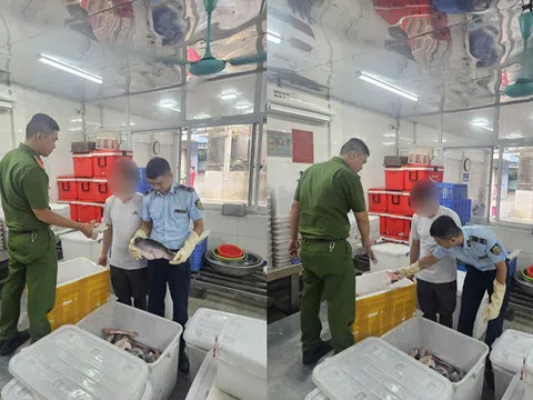 Hà Nội: Kiên quyết ngăn chặn hàng giả, hàng nhái và các hành vi gian lận thương mại