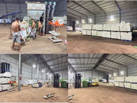 Đồng Nai: Thu nộp ngân sách 2.168 tỷ đồng, triệt phá nhiều vụ án sản xuất hàng giả