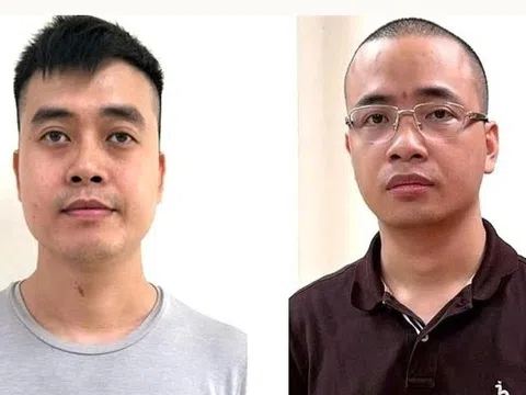 Chi tiết 26 loại sữa giả có doanh thu 2.436 tỉ đồng của Z Holding