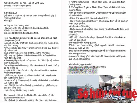 Quảng Ninh: Nhiều xưởng bóc hàu không phép ‘bức tử’ môi trường, bất chấp mọi qui định về VSATTP
