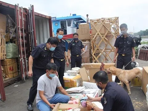 Bộ Tài chính triển khai 5 nhiệm vụ trọng tâm về chống buôn lậu, gian lận thương mại