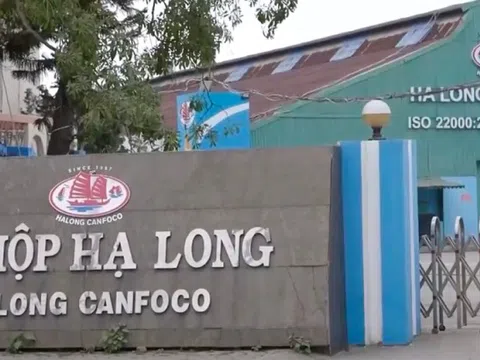 Dùng thịt lợn nhiễm dịch tả Châu Phi làm 'đồ hộp Hạ Long', hiểm họa lớn cho sức khỏe người tiêu dùng