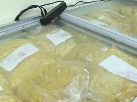 Triệt phá cơ sở sản xuất và tiêu thụ hơn 800 tấn mì tươi hóa chất