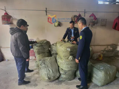 Phường Móng Cái 1: Cơ sở kinh doanh thực phẩm nhập lậu bị phạt 50 triệu đồng