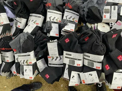 Lào Cai: Xử lý nghiêm 4 vụ xâm phạm sở hữu trí tuệ trên địa bàn