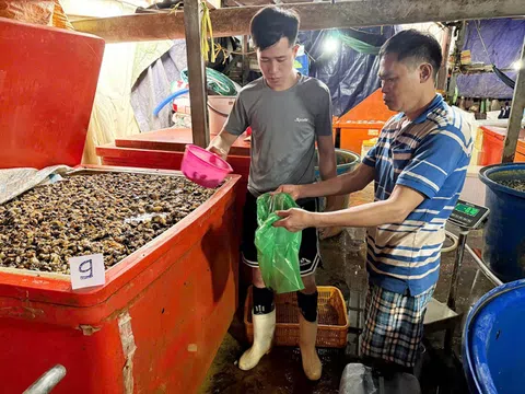 Vụ 3000 tấn thịt ốc ngâm hóa chất: Tại sao sau 5 năm mới bị phát hiện?