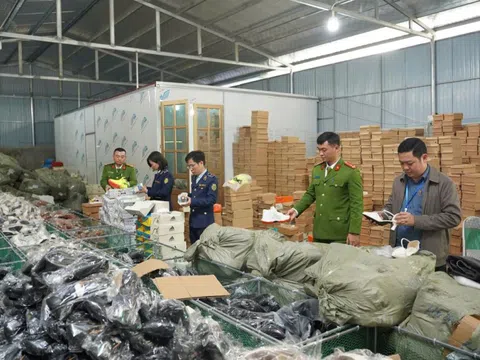 Thanh Hóa: Xử phạt 105 triệu đồng, tiêu hủy hàng loạt giày dép giả mạo nhãn hiệu