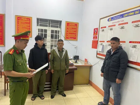 Sản xuất và phân phối hàng trăm tấn thóc giống giả, một đối tượng bị khởi tố