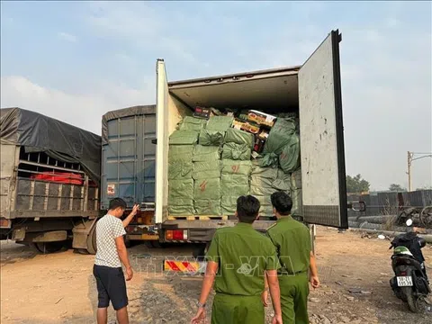 TP Hồ Chí Minh: Tạm giữ gần 30 tấn thực phẩm đông lạnh không rõ nguồn gốc