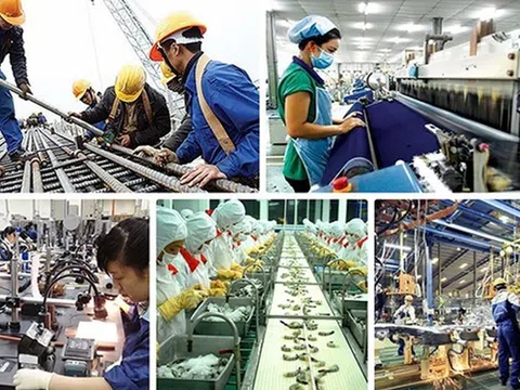Tháng 01/2023, cả nước có 10,8 nghìn doanh nghiệp thành lập mới