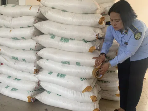 Phát hiện, tạm giữ gần 12 tấn đường cát nhập lậu