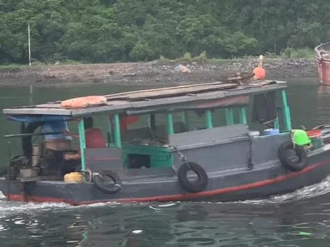 Quảng Ninh: Bắt giữ phương tiện chở 1.000 lít dầu diezen không có hóa đơn