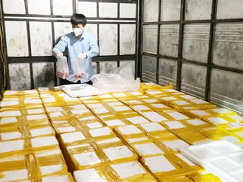Thanh Hóa bắt giữ xe tải vận chuyển 1.750 kg cá khoai ướp phoóc môn