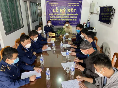 Gia Lai: Nhiều vụ việc được xử lý kịp thời trong đợt triển khai cao điểm tết Nguyên đán Nhâm dần - năm 2022