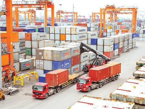 Khuyến cáo cho doanh nghiệp xuất khẩu Việt Nam